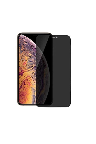 OEM Folie Sticla, Privacy, Premium pentru iPhone 11, 9H, Full Cover, Full Glu...