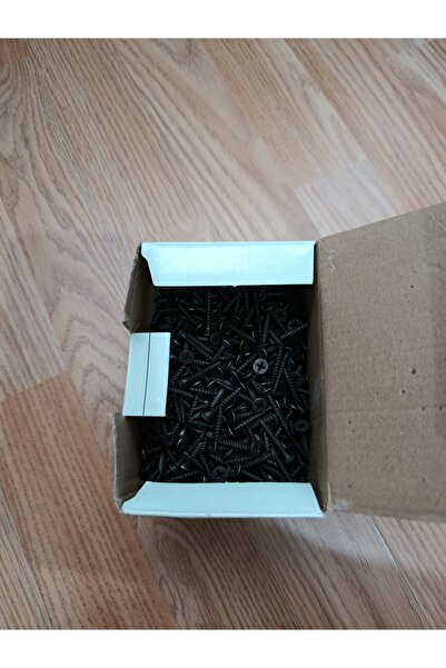 Selectron Alcıpan vidası