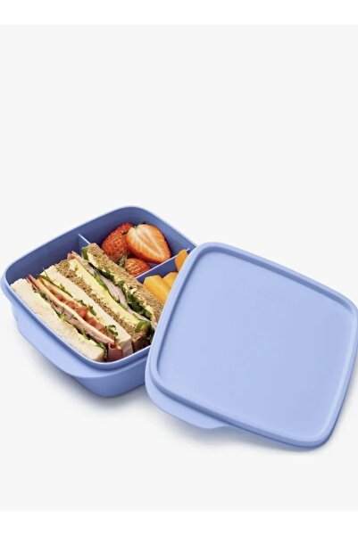 Plus وعاء غداء مقسم 550 مل / أرجواني - خالٍ من مادة BPA