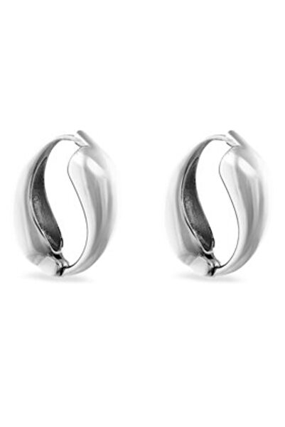 Aldo γυναικεία σκουλαρίκια 13834920 ασημί