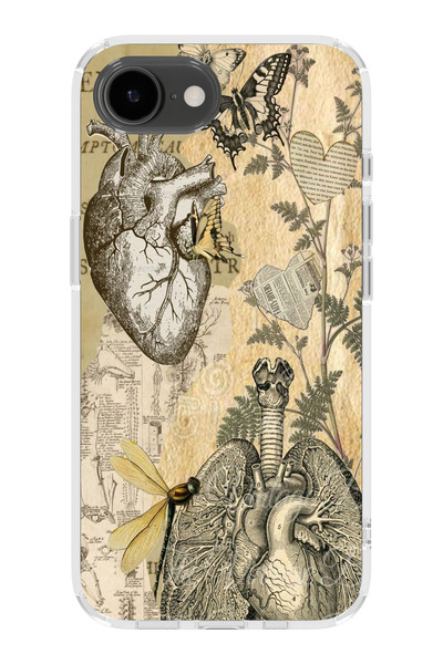 moonset Iphone 16E Uyumlu Kalp ve Kelebek Tasarımlı Baskılı Şeffaf Telefon Kı...