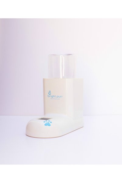 Bright Purr وعاء سيراميك للشرب للقطط والكلاب