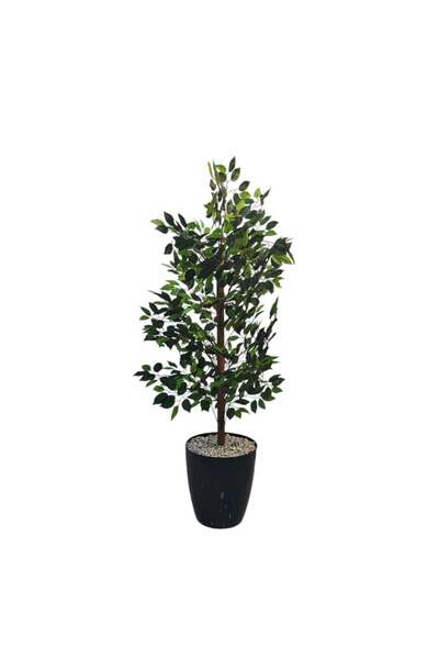 BYT ALRWASM FOR TRADE Khalidiya Lemon Tree with Black Pot, Height 120 cm