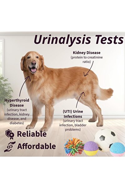 ONE STEP Pet Urine Test Strips, 50 Tests for Dogs & Cats, Detects UTI, Diabetes, Kidney & Liver Health