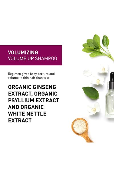 Insight Clean Beauty Volume Up Shampoo for Softer Hair Organic Ginseng Extract, Vegan, 13.5 fl oz