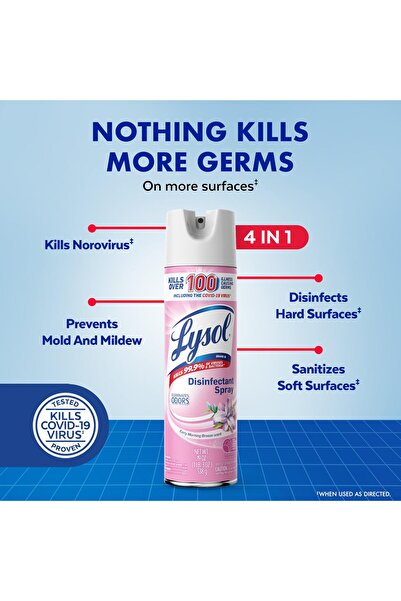 Lysol Early Morning Breeze Disinfectant Spray, Antibacterial, 19 Fl Oz (Pack of 2)