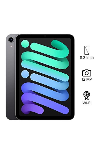 Apple iPad Mini 2021 (6th Generation) 8.3-Inch, 256GB, WiFi, Space Gray With Facetime - Internationa