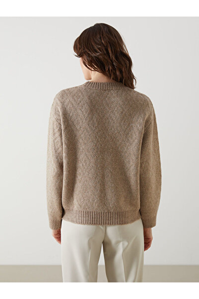 LC Waikiki LCWAIKIKI Classic Bej Bisiklet Yaka Baklava Desenli Kadın Triko Kazak