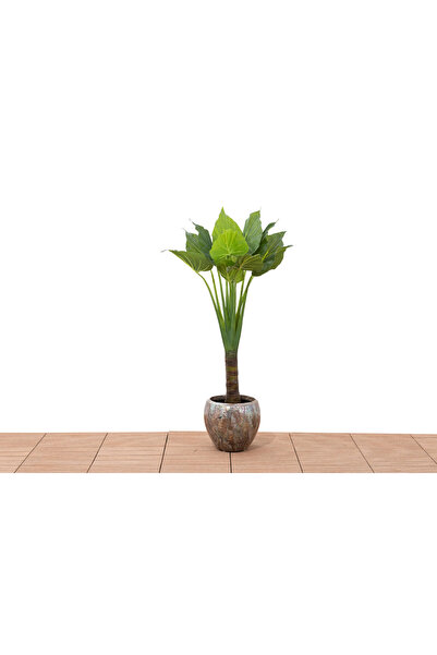 sultan garden center كالاديوم اصطناعي