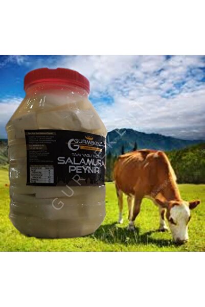 GURMEKENT SALAMURA PEYNİR 3,5 KG