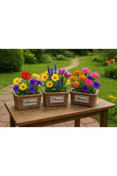 Nevvera Home Rustik Dekoratif Hasır Çiçek Sepeti 3’lü Set