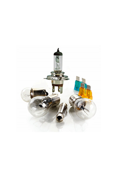 Bottari Halogen bulb set h4