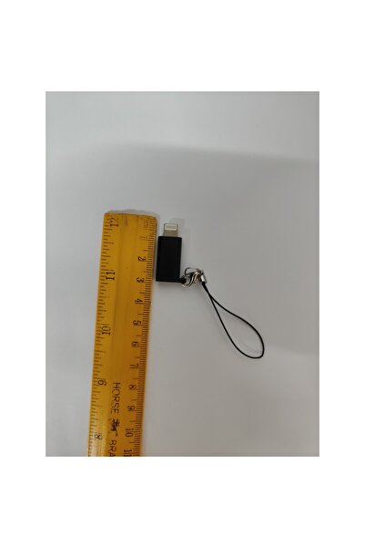 Flippy Αντάπτορας τύπου C (θηλυκό) σε Lightning (αρσενικό) με μπρελόκ, μαύρο