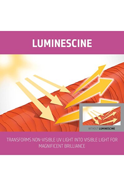 GOLDWELL Dualsenses Color Brilliance Shampoo, 1er Pack (1 x 1 l)