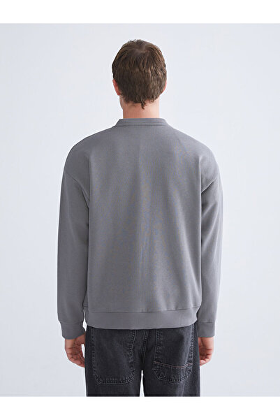 LC Waikiki Sparkling Choices from Shining Store |   Crew Neck Embroidered Men's Thick Sweatshirt