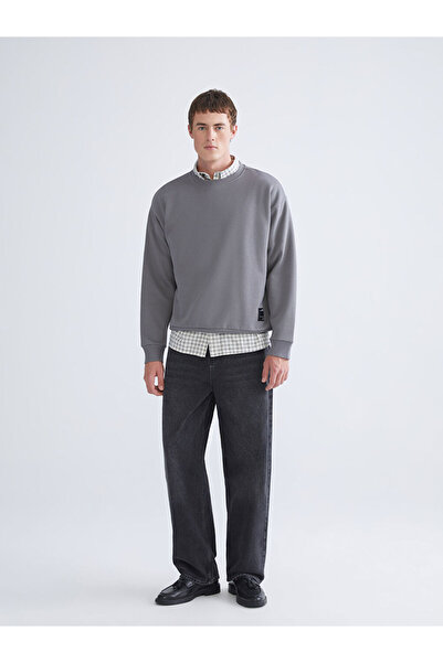 LC Waikiki Sparkling Choices from Shining Store |   Crew Neck Embroidered Men's Thick Sweatshirt