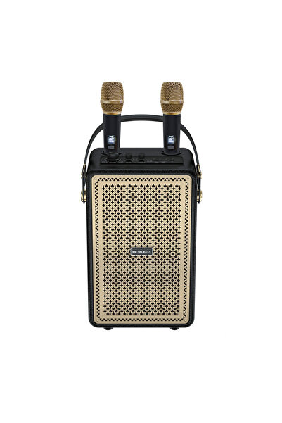 Zen Store مكبر صوت محمول للحفلات مع ميكروفون لاسلكي، مكبر صوت خشبي KTV، بلوتوث، مع ميكروفون كاريوكي قوي