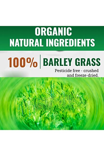 Navita Naveta Barley Grass Powder, 100% Organic Pure Barley Grass Juice Powder, Promotes Digestive Peristal