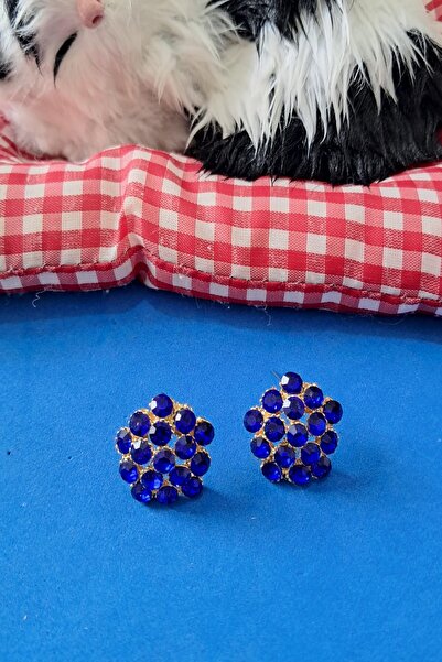 Boox99 Wip Mavi Taşlı Düğme Abiye Küpe