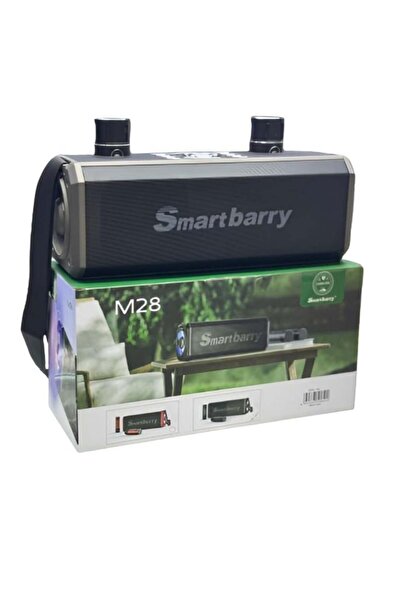 Smartberry Smart berry M28 Portable Karaoke Machine Wireless Bluetooth Speaker With two Microphones Black
