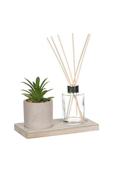 Jumbo Set difuzor de ulei cu plantă și bețișoare