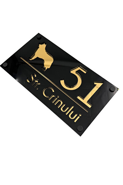 Adresa VIP NUMAR CASA PREMIUM - Negru Lucios Auriu Oglinda 4 Distantieri Negrii - 28x15cm