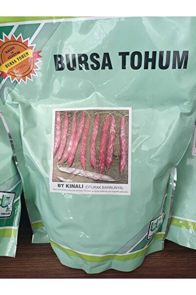 Bursa Tohumculuk BARBUNYA TOHUM OTURAK BARBUNYA BT BURSA TOHUM BARBUNYA