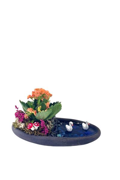 SARIGÜL E TİCARET Dekor Saksıda Turuncu Kalanchoe Teraryum