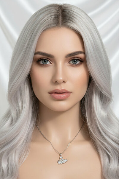 özgül takı ve tasarım Stainless Steel Silver Color Zircon Stone Swan Women's Necklace – Elegant Minimal Jewelry