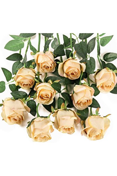 Emoda home Trove 10PCS Artificial Silk Roses – Long Stem Champagne, 52x5 cm f...