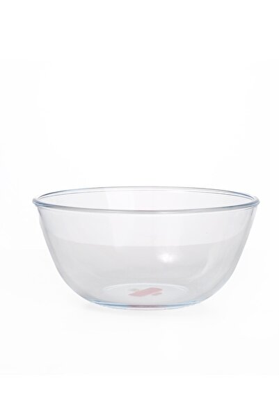 Generic 4.2 liter glass bowl