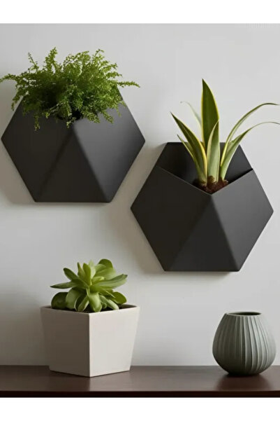 Goldesing Altıgen Duvar Saksısı Modern Dekoratif Bitki Askısı Salon ve Balkon...