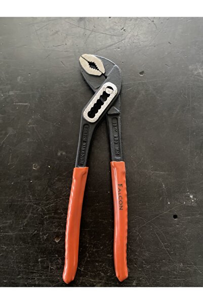 Falcon PAPAĞAN PENSE
