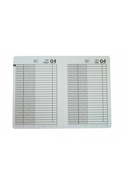 Gıpta 2026 Hard Cover Bound Case Agenda 17X24 cm 376 Pages 112-Ekk