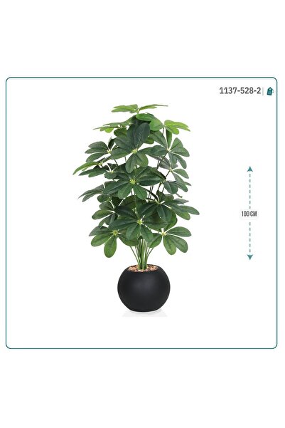 MARINO شجرة ورق المانجو – ارتفاع 100 سم