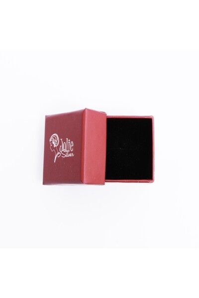 Jolie Silver Cercei din argint 925 cu contur de stea