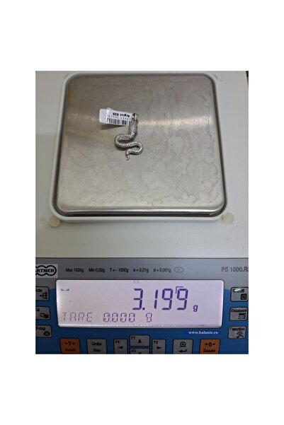 Jolie Silver Pandantiv din argint 925 cu șarpe și pietre