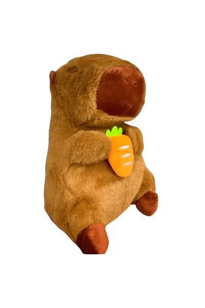 Tim Italian Capybara Plush Toy 20 cm – Lollipop, Flower, Carrot, Strawberry Pattern - Random Pattern