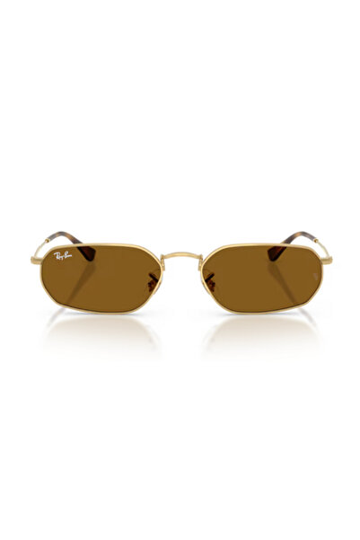 Ray-Ban 3947 001/33 54