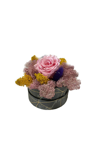 velve Trandafir criogenat Pastel Perfection decorat in cutie cu licheni natur...