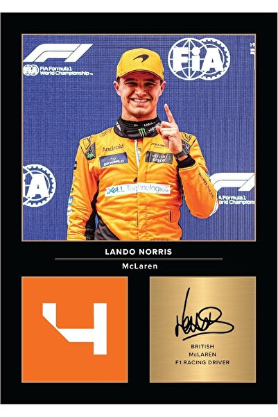 ALAYRA International لوحة فنية جدارية لسيارة لاندو نوريس مكلارين F1 - ملصق بد...