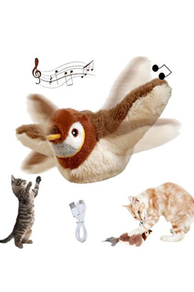 Raicon Evcil Hayvan Şarjlı Titreşimli Hareketli Uçan Kuş Oyuncak