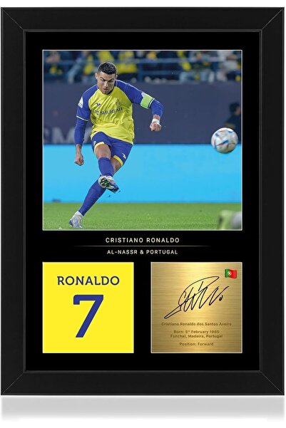 ALAYRA International Elegant Abstract Framed Canvas Wall Art Decor 30x40cm No...