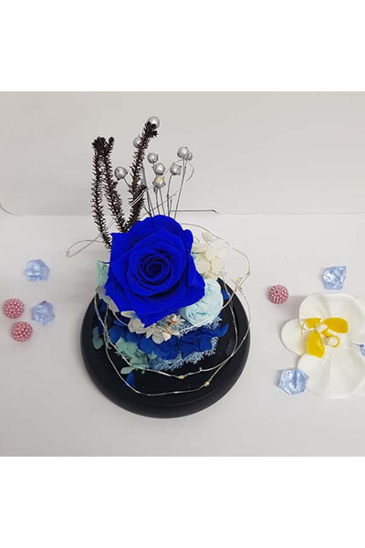 velve Buchet de trandafiri criogenati in cupola de sticla cu LED, albastru - blue, 21X12