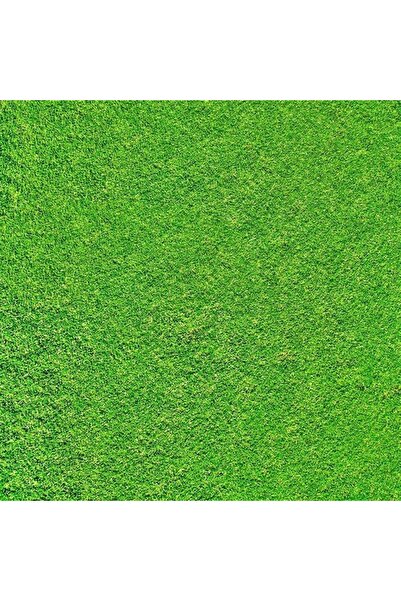 Genel Markalar Açık Yeşil Mimari Maketler İçin Hazır Çim Kaplama, 33X41 Cm