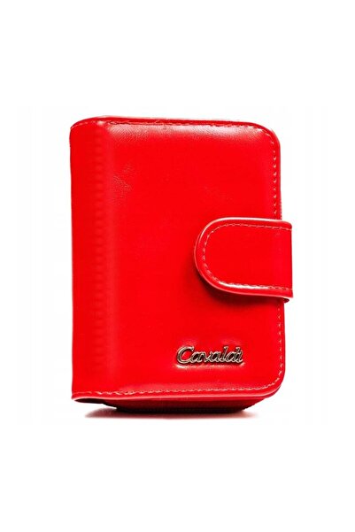 4U Cavaldi N116APUBL72300