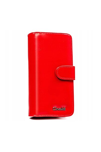 4U Cavaldi N113APUBL72290