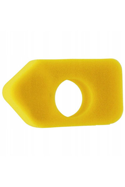 China Filtru de aer Briggs & Stratton 698369, MTD 4216 5088