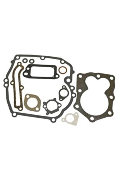 TAIWAN Set garnituri motor Briggs & Stratton (Serii 590508, 794307, 497316)