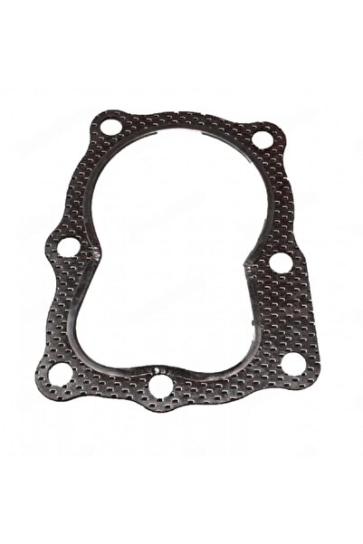 TAIWAN Garnitură de chiulasă compatibilă cu Briggs & Stratton